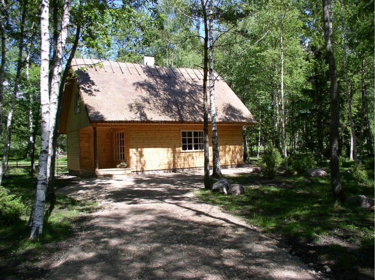Дома для отпуска Marta-Lovise puhkemaja Aliine Kipi-4